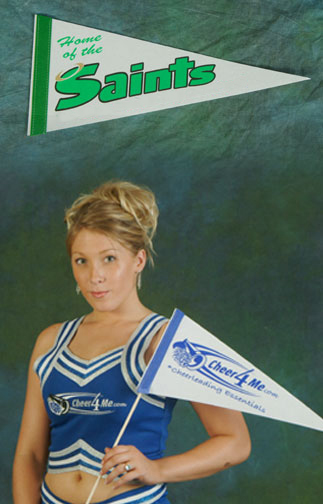 Custom Imprint Felt Pennant (LL06308)